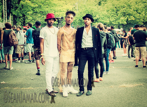 Afropunk Festival - Commodore Barry Park - BK USA - 2014