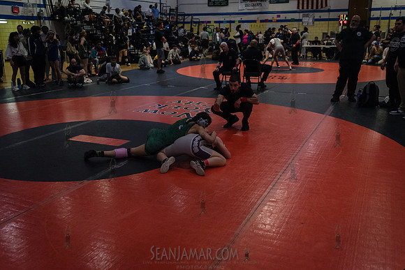 PSAL Girls Individual Championships - Harry S Truman HS - NYC -