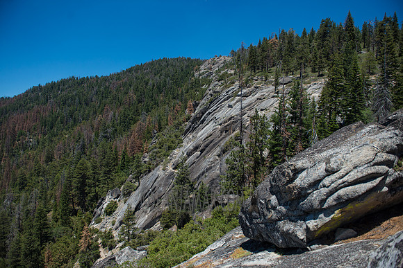 Adventure Day - Chilnualna Falls Hike - Yosemite National Park - Wawona CA - 2017