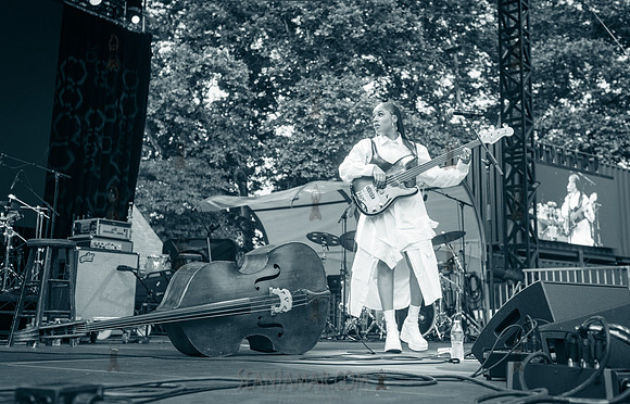 Aneesa Strings - CPF SummerStage - Yussef Dayes - Rumsey Playfie