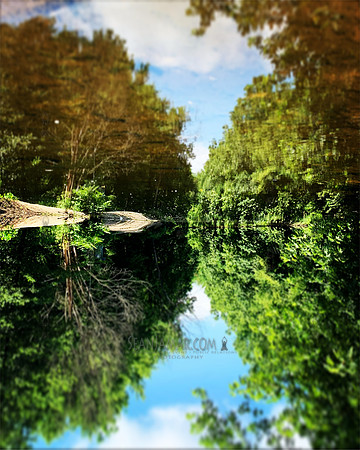 Dunkerhook County Park