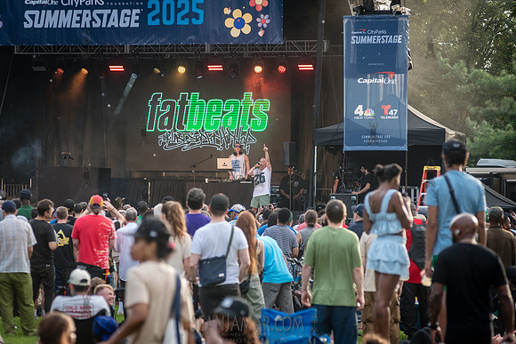 The HIgh and Mighty - NYC SummerStage - Fat Beats 30th Anniversa