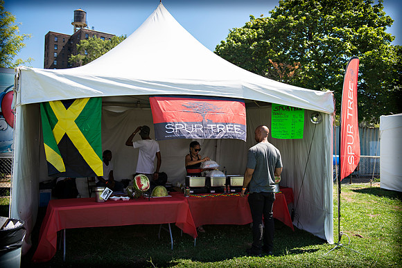 Afropunk Festival - Commodore Barry Park - BK USA - 2013