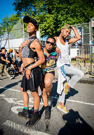 Afropunk Festival - Commodore Barry Park - BK USA - 2014