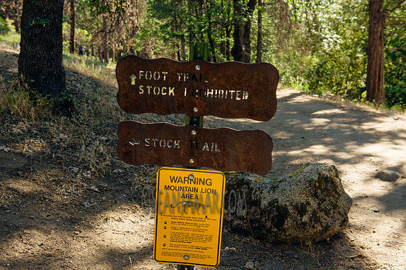 Adventure Day - Chilnualna Falls Hike - Yosemite National Park - Wawona CA - 2017