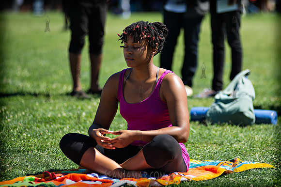 Afropunk Festival - Commodore Barry Park - BK USA - 2013