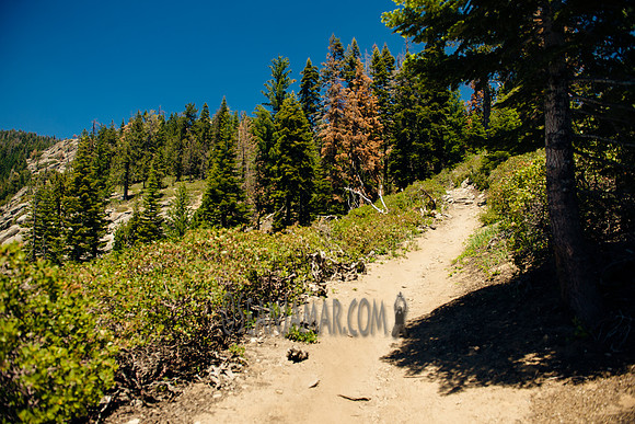 Adventure Day - Chilnualna Falls Hike - Yosemite National Park - Wawona CA - 2017