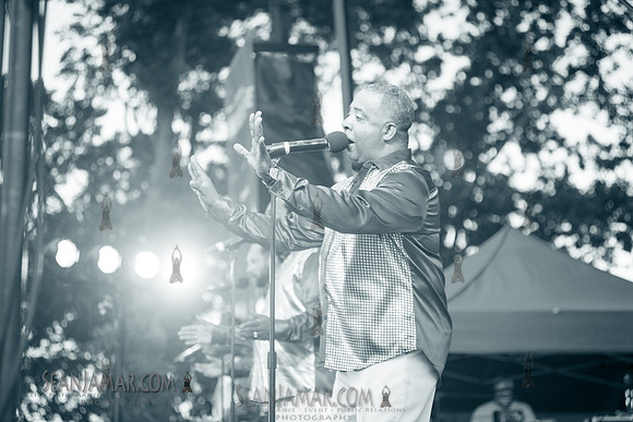 2019-07-06 NYC SummerStage - Ralph McDaniels Soul and Funk Jam - Springfield Park - NYC-108.jpg