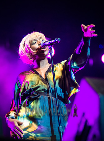 Chic - Roots Picnic - Bryant Park - NYC - 2016