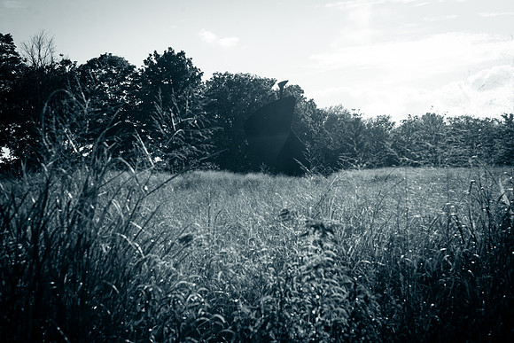 Adventure Day - Alexander Calder 'The Arch' - Storm King Art Center - New Windsor NY - 2015