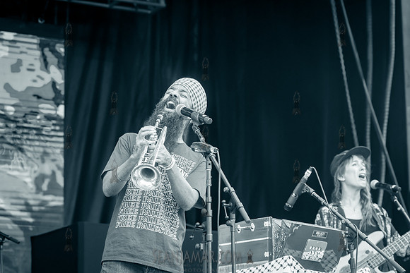 Sonny Singh - NYC SummerStage - DJ Rekha Basement Bhangra - Flus