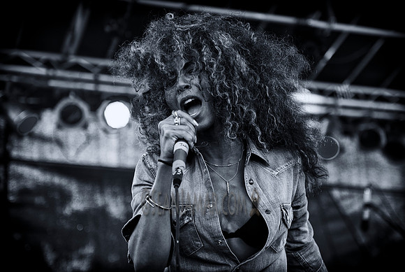 Wicked Wisdom - Afropunk Festival - Commodore Barry Park - BK US