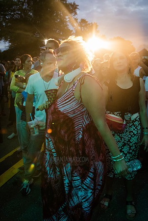 NYC SummerStage - DJ Rekha Basement Bhangra - Flushing Meadows P