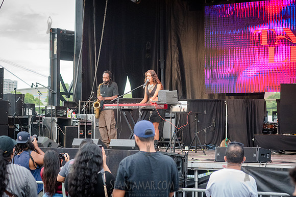 Tara Lily - NYC SummerStage - DJ Rekha Basement Bhangra - Flushi