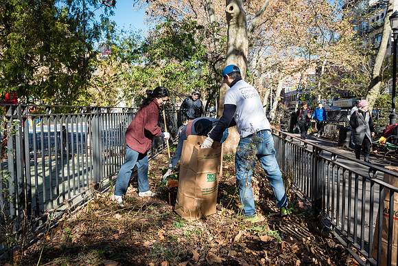 CPF Green Fund - SDR Park Alliance - Clean Up + Ribbon Cutting -