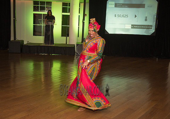 Zimele USA 6th Annual Gala - Maritime Parc - Jersey City NJ - 2017