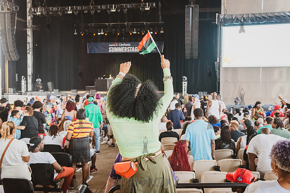 NYC SummerStage - GorillaFest - Coney Island Amphitheater - NYC