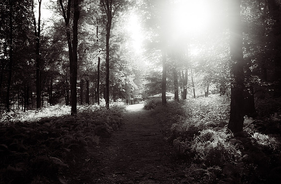 Adventure Day - Storm King Art Center - New Windsor NY - 2015