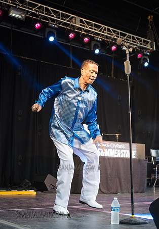 2019-07-06 NYC SummerStage - Ralph McDaniels Soul and Funk Jam - Springfield Park - NYC-99.jpg
