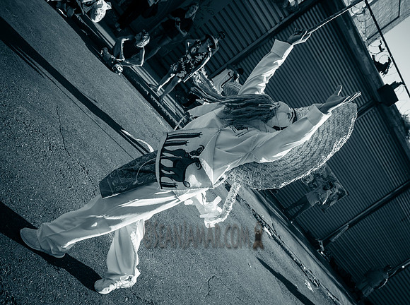Los Tecuanis De Piaxtla - Live Block Party - Brooklyn Brush - BK USA - 2017