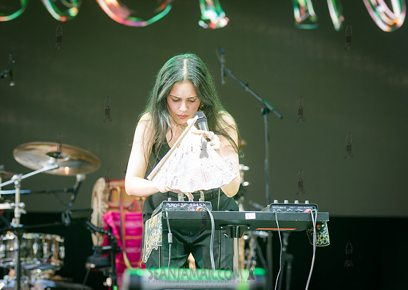 Slowspin - NYC SummerStage - Rhianon Giddens - Rumsey Playfield