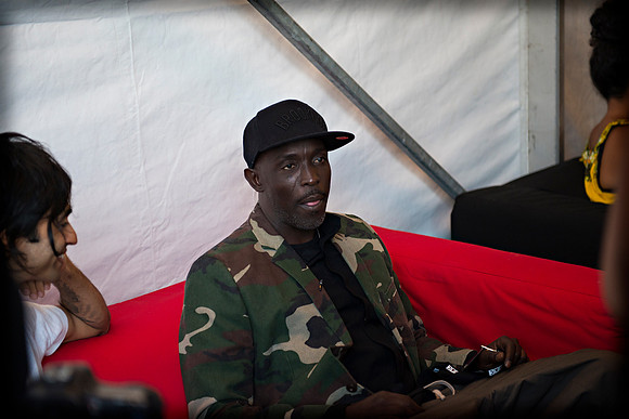 Afropunk Festival - Commodore Barry Park - BK USA - 2013
