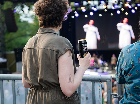 NYC SummerStage - Rhianon Giddens - Rumsey Playfield - NYC - 202