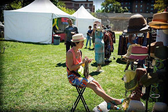 Afropunk Festival - Commodore Barry Park - BK USA - 2013