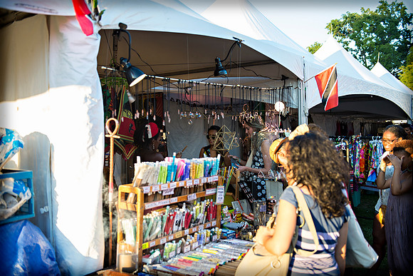 Afropunk Festival - Commodore Barry Park - BK USA - 2013