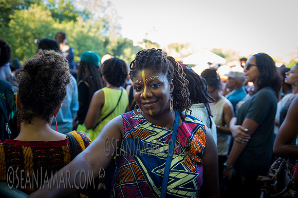 Afropunk Festival - Commodore Barry Park - BK USA - 2014
