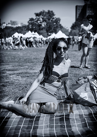 Afropunk Festival - Commodore Barry Park - BK USA - 2013