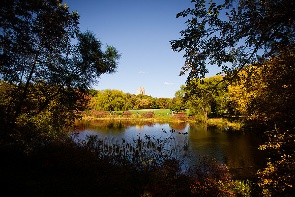 Adventure Day - Central Park - NYC - 2016