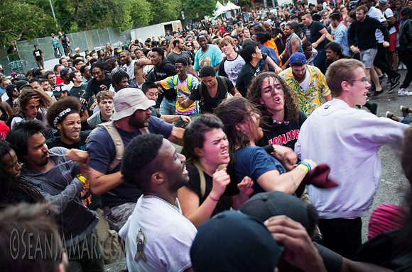Afropunk Festival - Commodore Barry Park - BK USA - 2014
