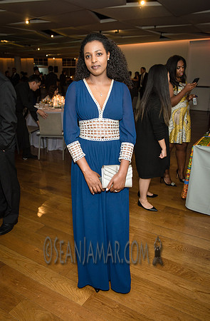 Zimele USA 6th Annual Gala - Maritime Parc - Jersey City NJ - 2017