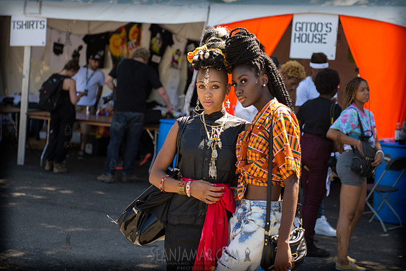 Afropunk Festival - Commodore Barry Park - BK USA - 2013