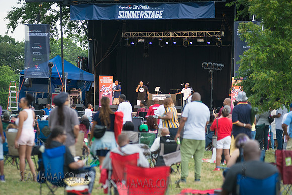 2019-07-06 NYC SummerStage - Ralph McDaniels Soul and Funk Jam - Springfield Park - NYC-93.jpg