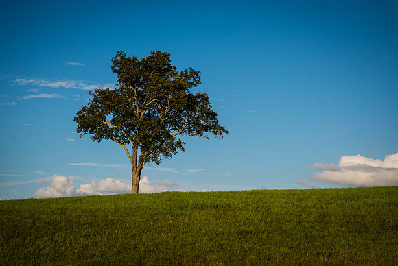 Adventure Day - Storm King Art Center - New Windsor NY - 2015