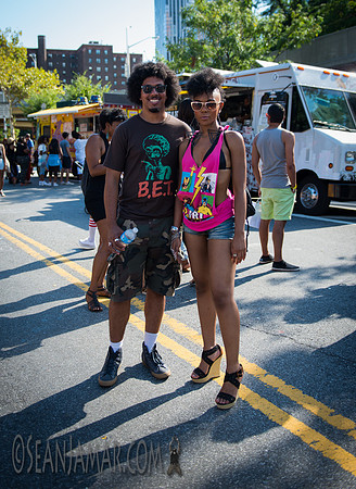 Afropunk Festival - Commodore Barry Park - BK USA - 2014