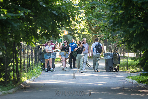 NYC SummerStage - Rhianon Giddens - Rumsey Playfield - NYC - 202