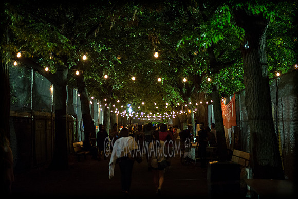 Afropunk Festival - Commodore Barry Park - BK USA - 2013