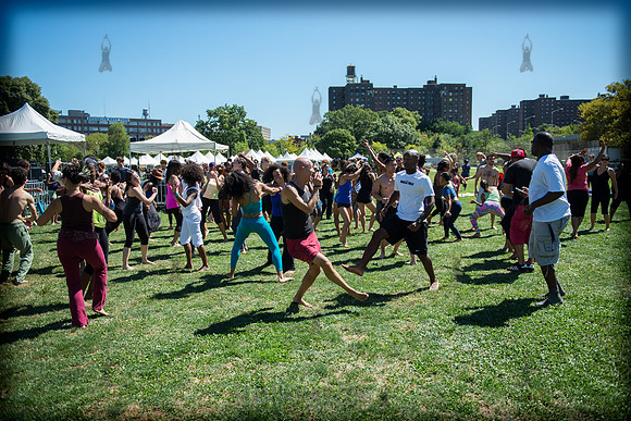 Afropunk Festival - Commodore Barry Park - BK USA - 2013