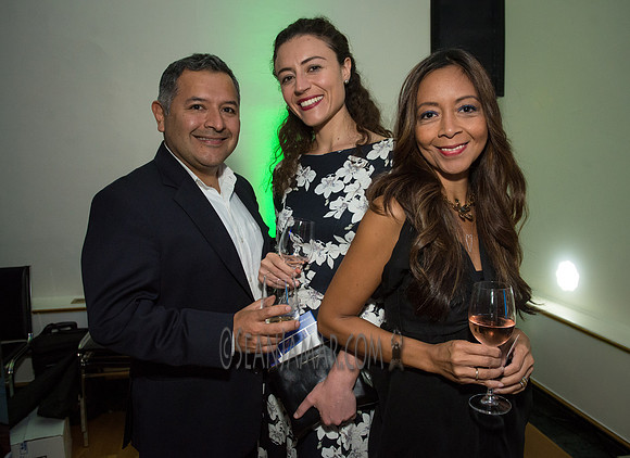 France Rocks Summerfest Opening Soirée - The French Embassy - NYC - 2016