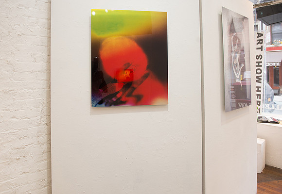 Allison Harrell Panel Shots - Ward Nasse Gallery - NYC - 2017