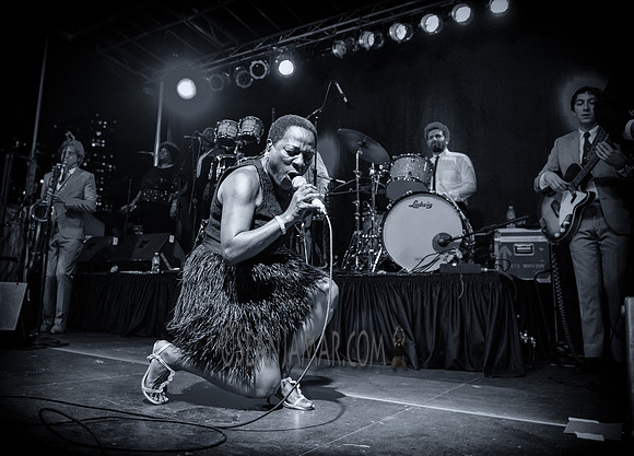 Sharon Jones & the Dap Kings - Afropunk Festival - Commodore Barry Park - BK USA - 2014