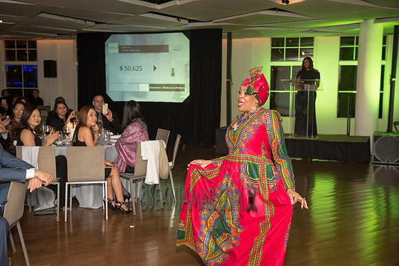 Zimele USA 6th Annual Gala - Maritime Parc - Jersey City NJ - 2017