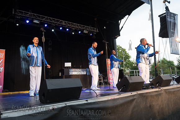 2019-07-06 NYC SummerStage - Ralph McDaniels Soul and Funk Jam - Springfield Park - NYC-118.jpg