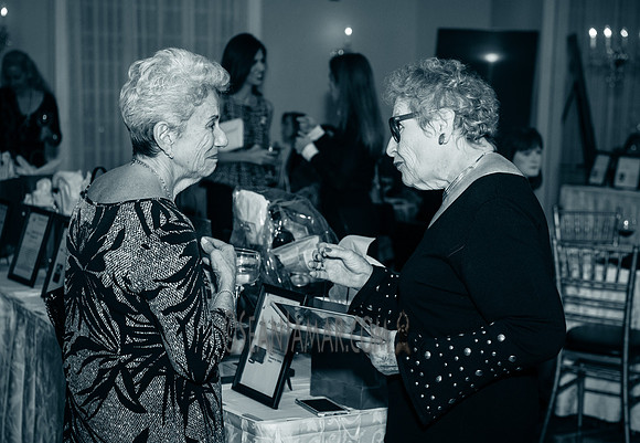 Bergen Volunteer Center - Hearts of Gold Dinner and Auction - The Stony Hill Inn - Hackensack NJ - 2017