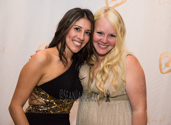 Heart of Gold Gala - The Fiesta - Woodridge NJ - 2016