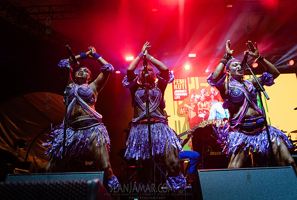 NYC SummerStage - Femi Kuti - Rumsey Playfield - NYC - 2025