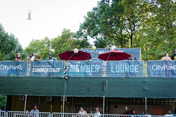 CPF SummerStage - VP Recprds 45th Anniversary - Rumsey Playfield